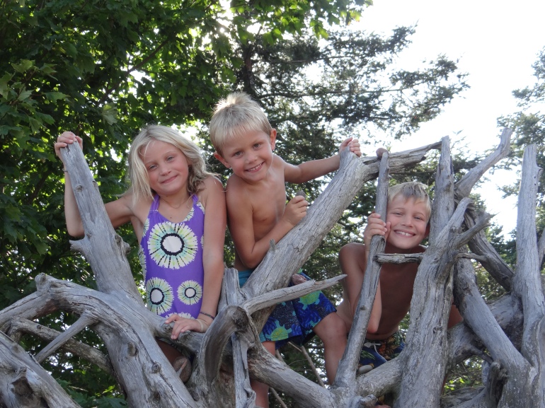Mollie, Graham and Will climb on the Wishing Tree on Bear Island